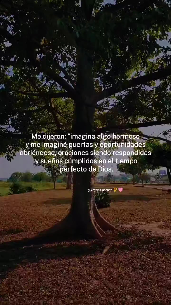 @Yayive Sánchez