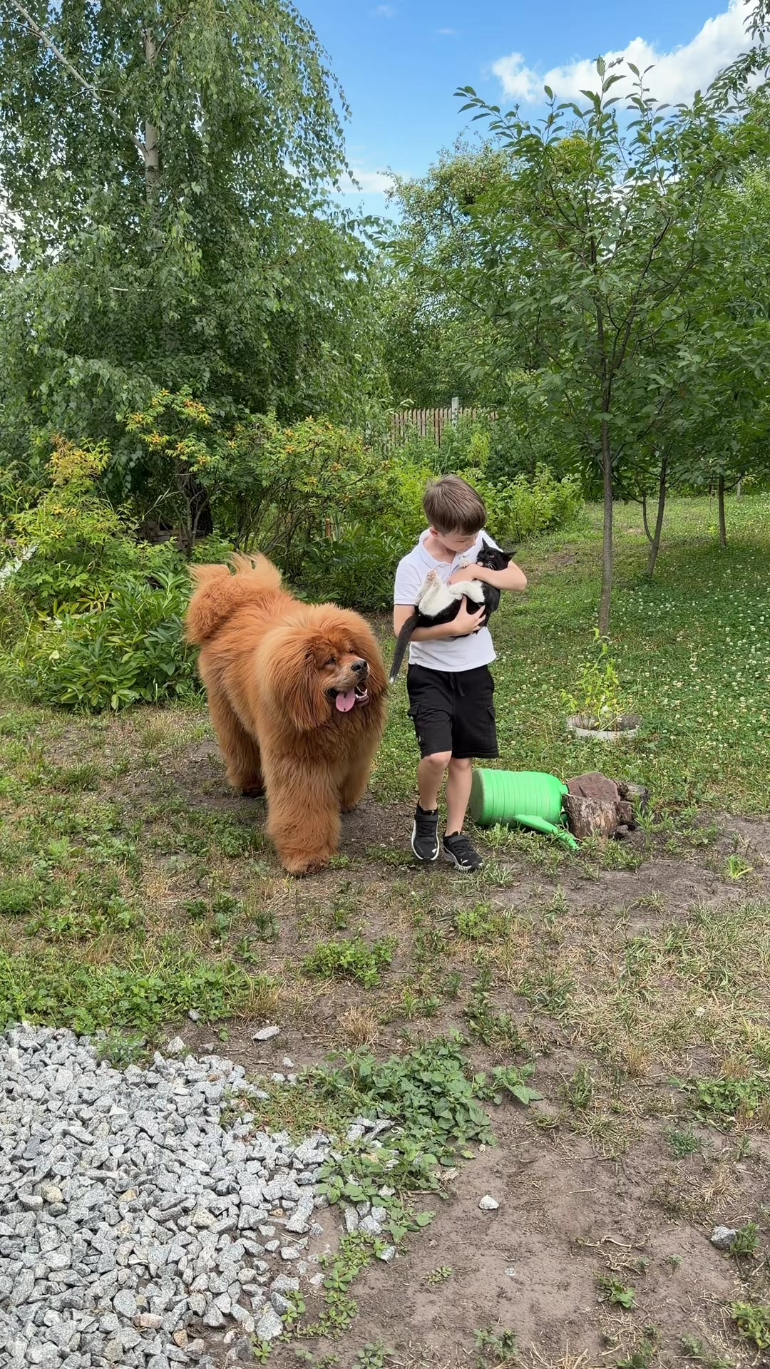 @Джампер 🦁 Jumper