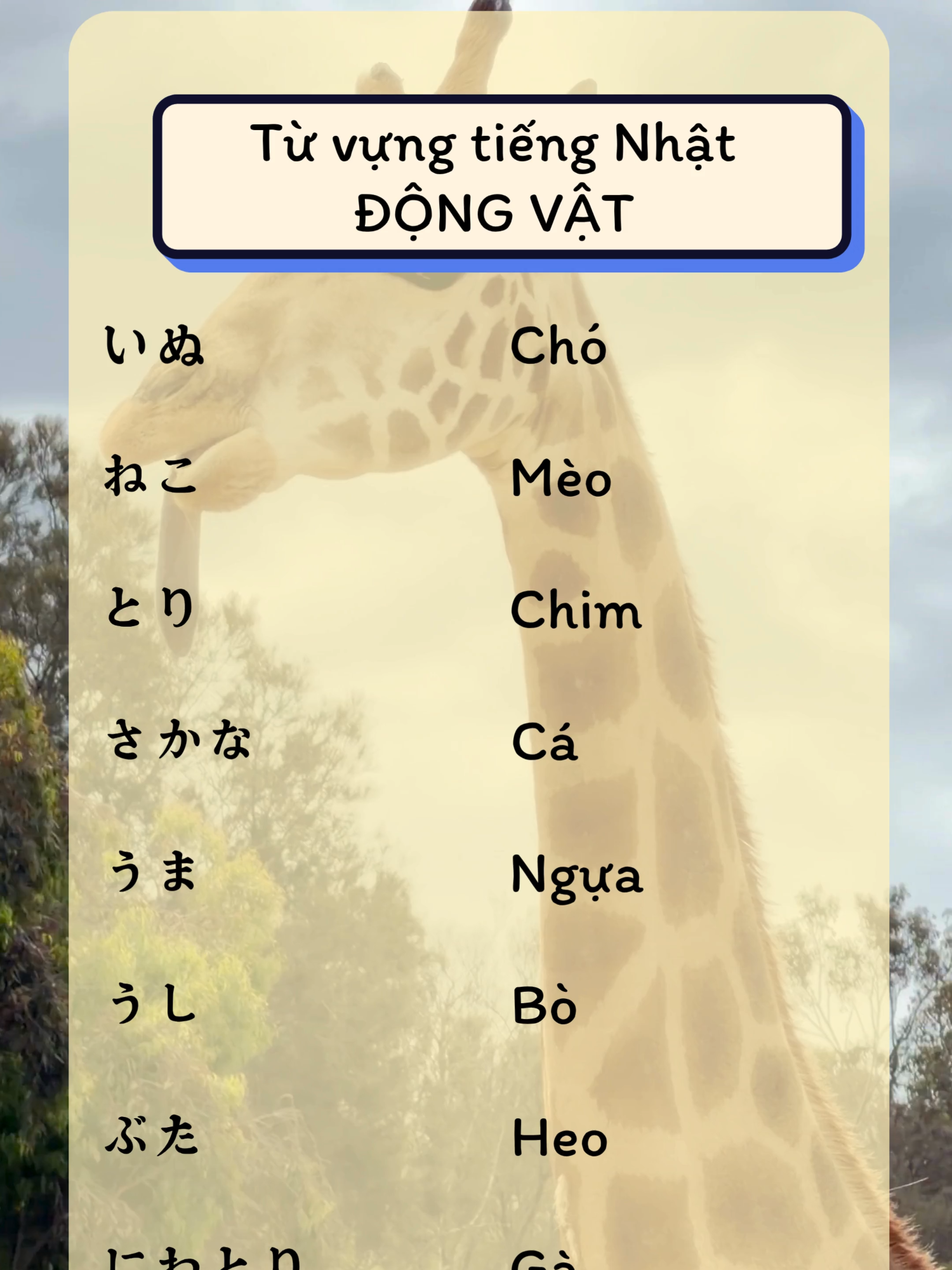 @Tự Học Tiếng Nhật