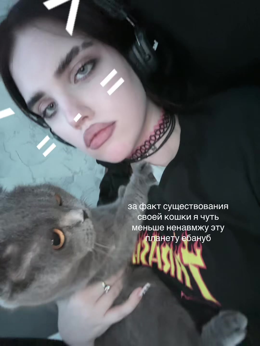 @ринашита