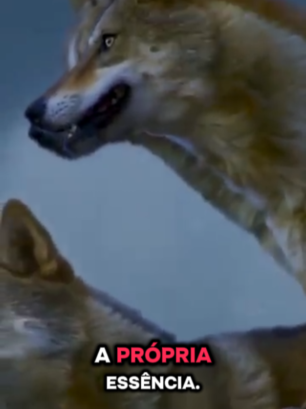 @motiva&ccedil;&atilde;o e reflex&atilde;o,louvor