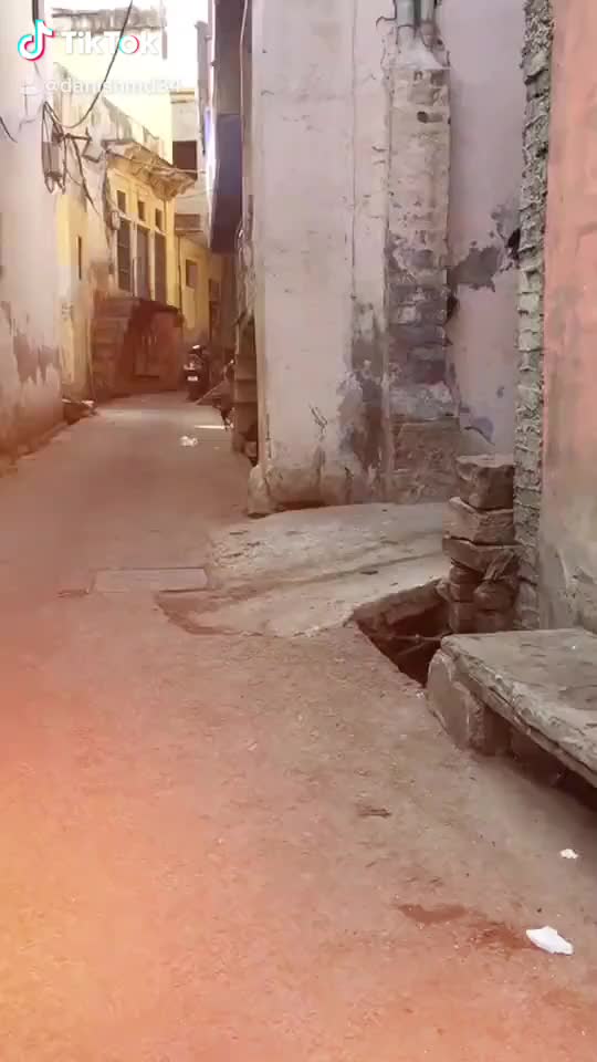 @danishmd34
