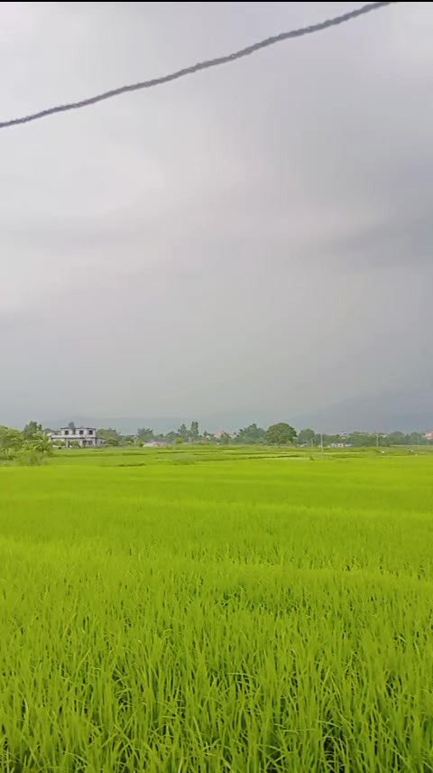 @Smita rai