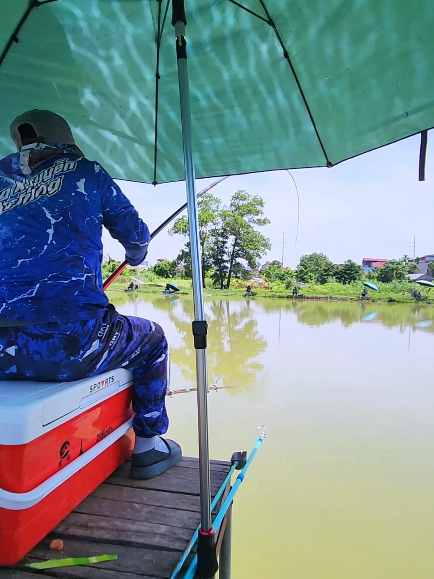 @Dũng Nguyễn Fishing