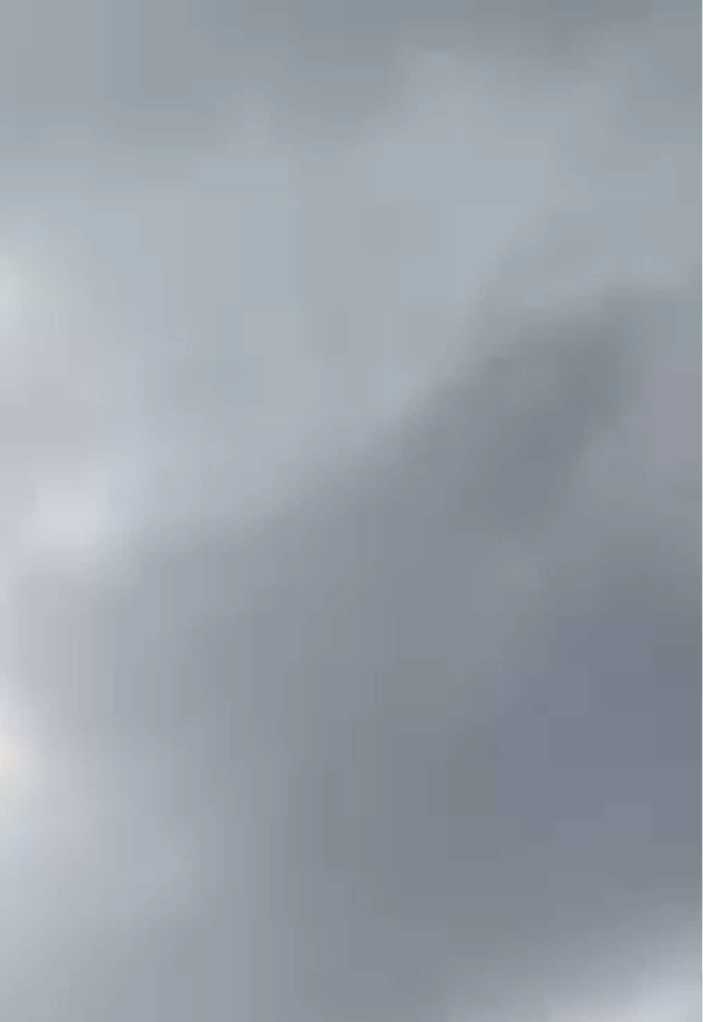 @𝐚𝐥𝐬.𝟑𝐢𝟐𝐤 ꨄ