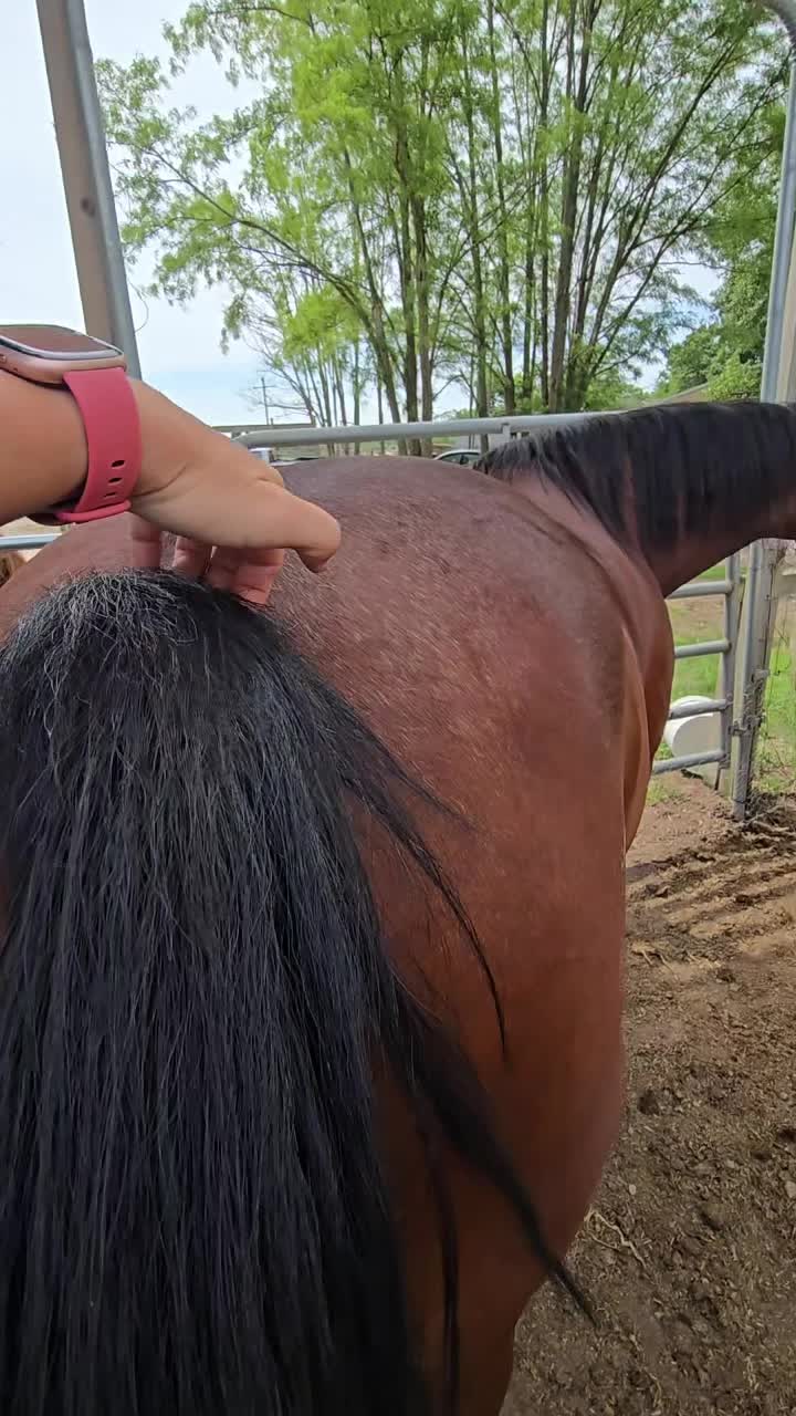 @Small Town Farm LLC