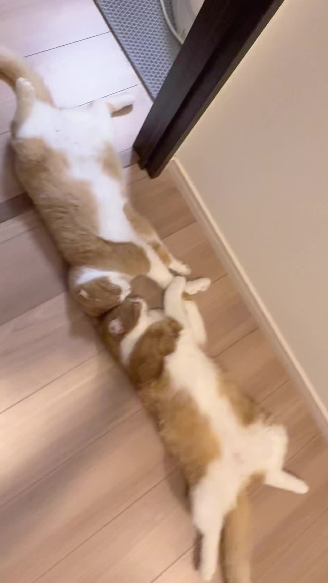 @マロン