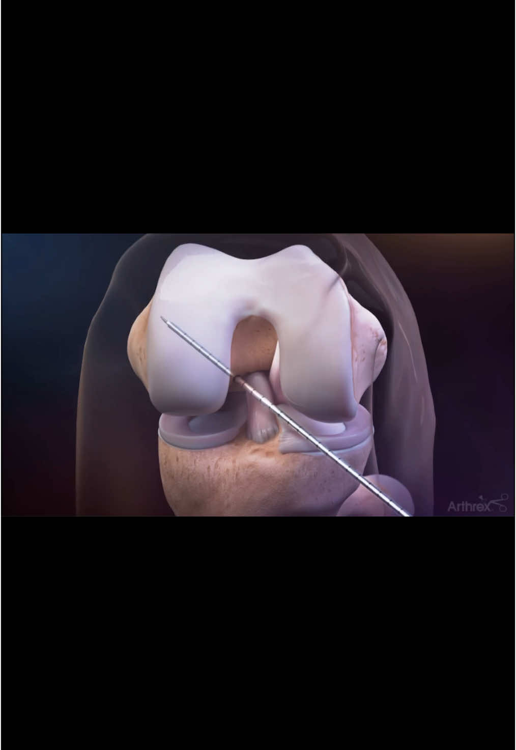 @Anatomias