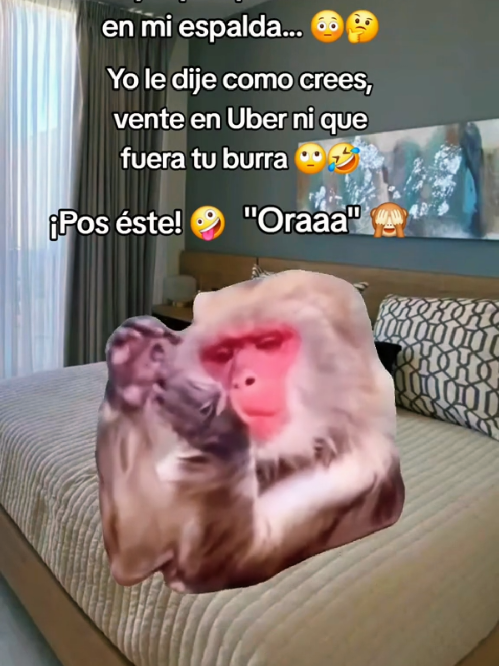 @Erikaruizeza