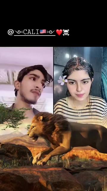 @Hassan Ali