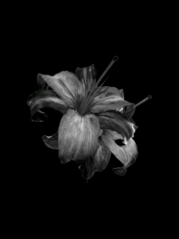 @𝐒𝐓𝐀𝐑'𝐒