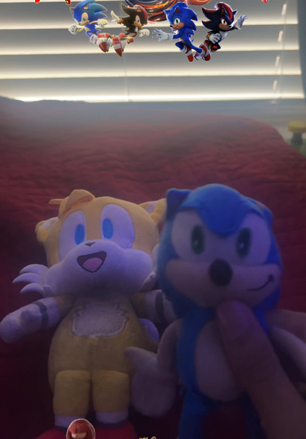 @CinosAntiHedgehog