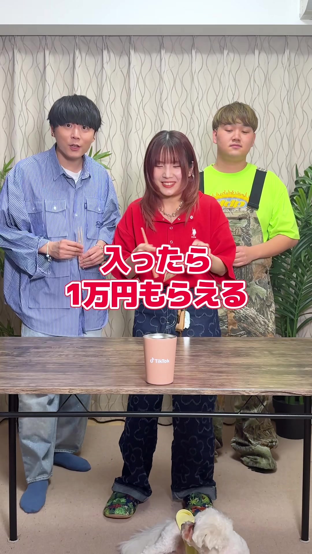 @WHITEBOX【official】