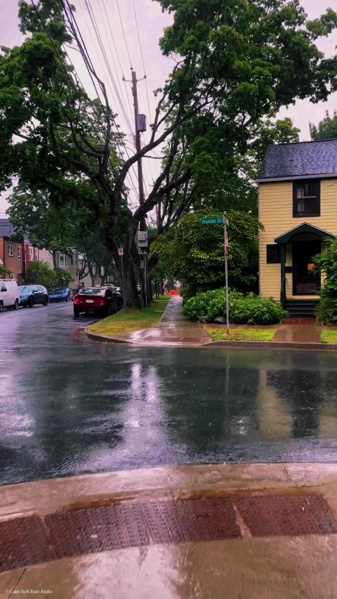 @Calm Soft Rain Audio