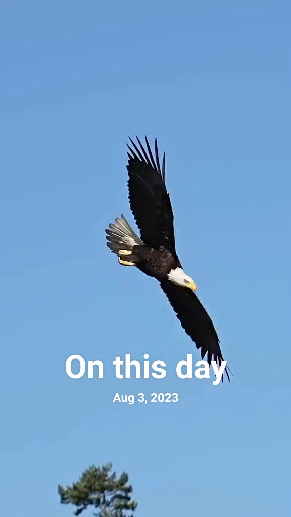@̶E̶a̶g̶l̶e̶ ̶k̶i̶n̶g̶ ̶2̶0̶7
