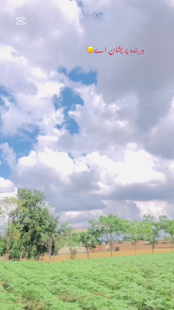 @میاں مظفر✨🥀