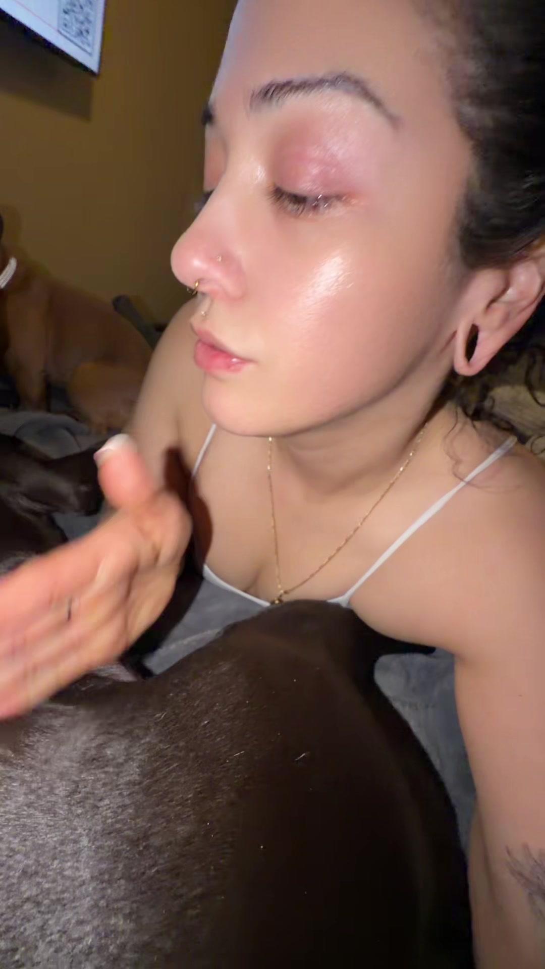 @Bzurcc