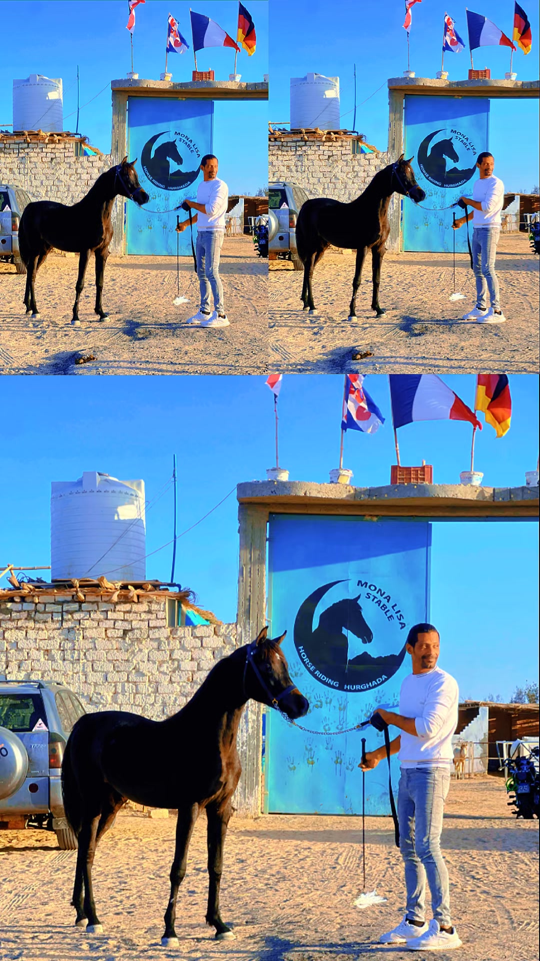 @monalisa_stable