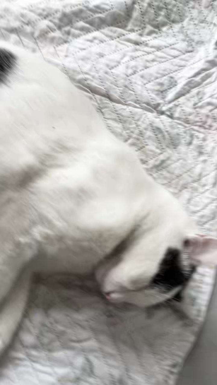 @000