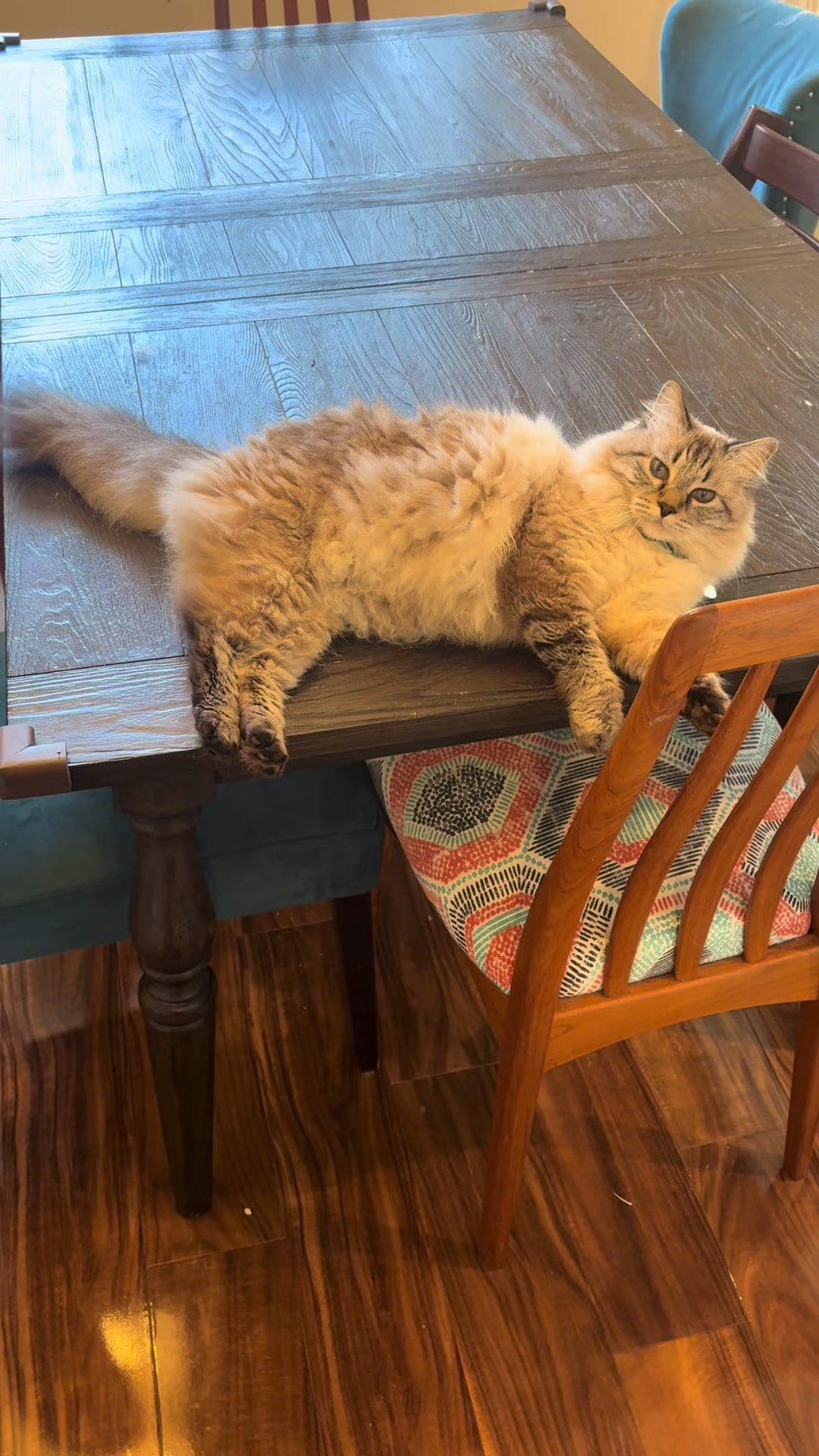 @Brock Meowsnar
