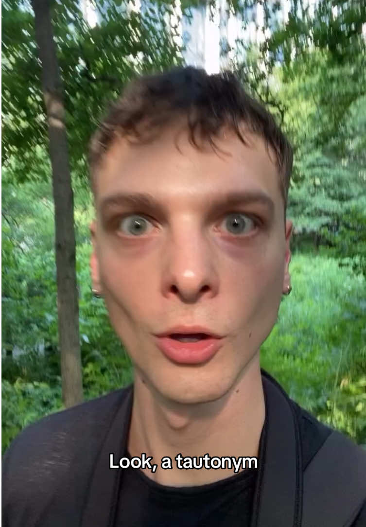 @tautonymph