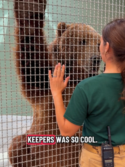 @The Toledo Zoo