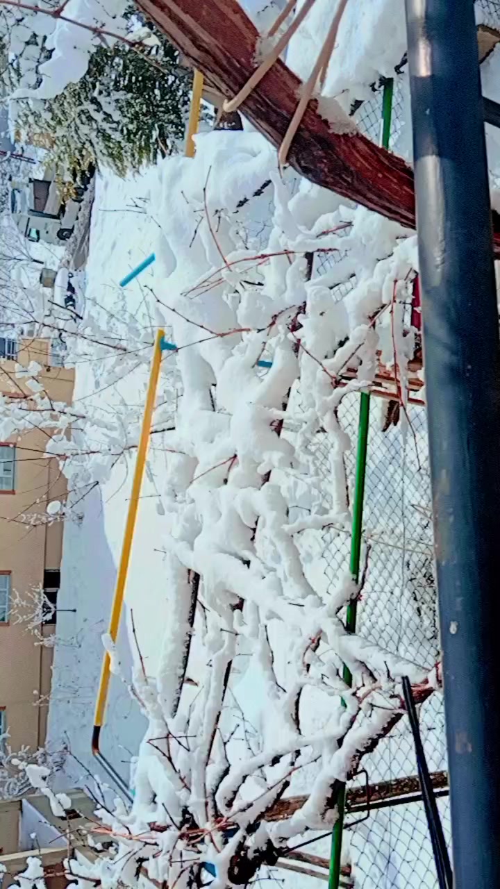 @๐ุดุงู
ูุฉ๐ซ๐