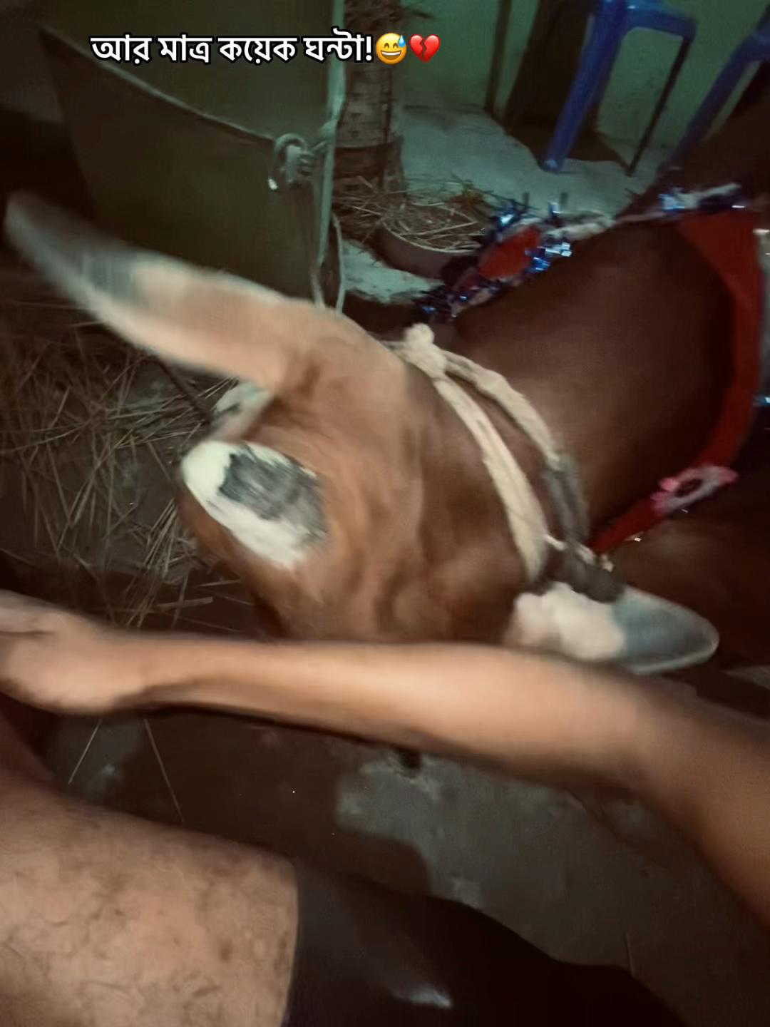 @🖤❌Ᏼediq_Gamer❌🖤 🚩