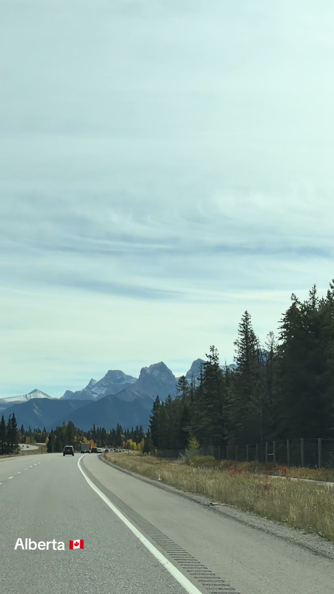 @Ada 🇨🇦