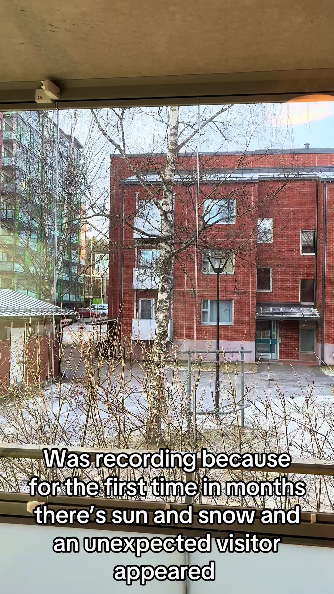 @Alotta Fagina