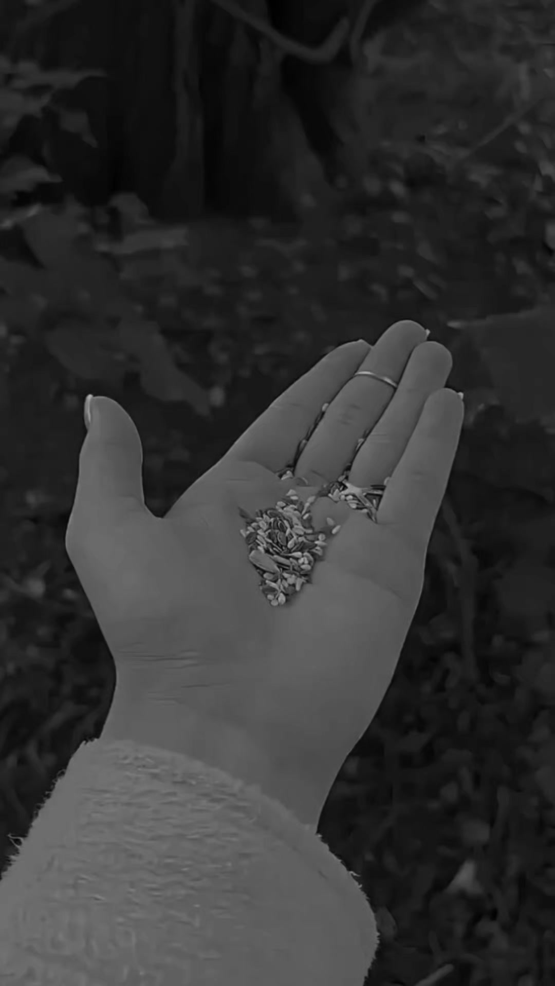 @♛أمـيـࢪة 𝐀𝐦𝐢𝐫𝐚♛