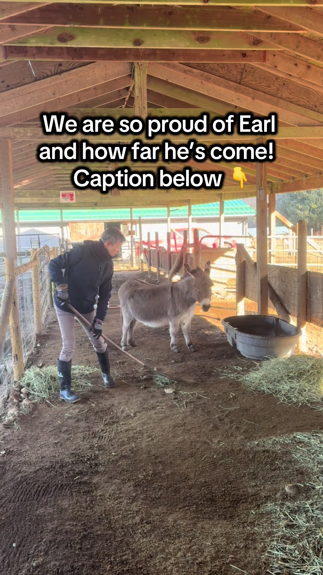@Home for Hooves 🐽