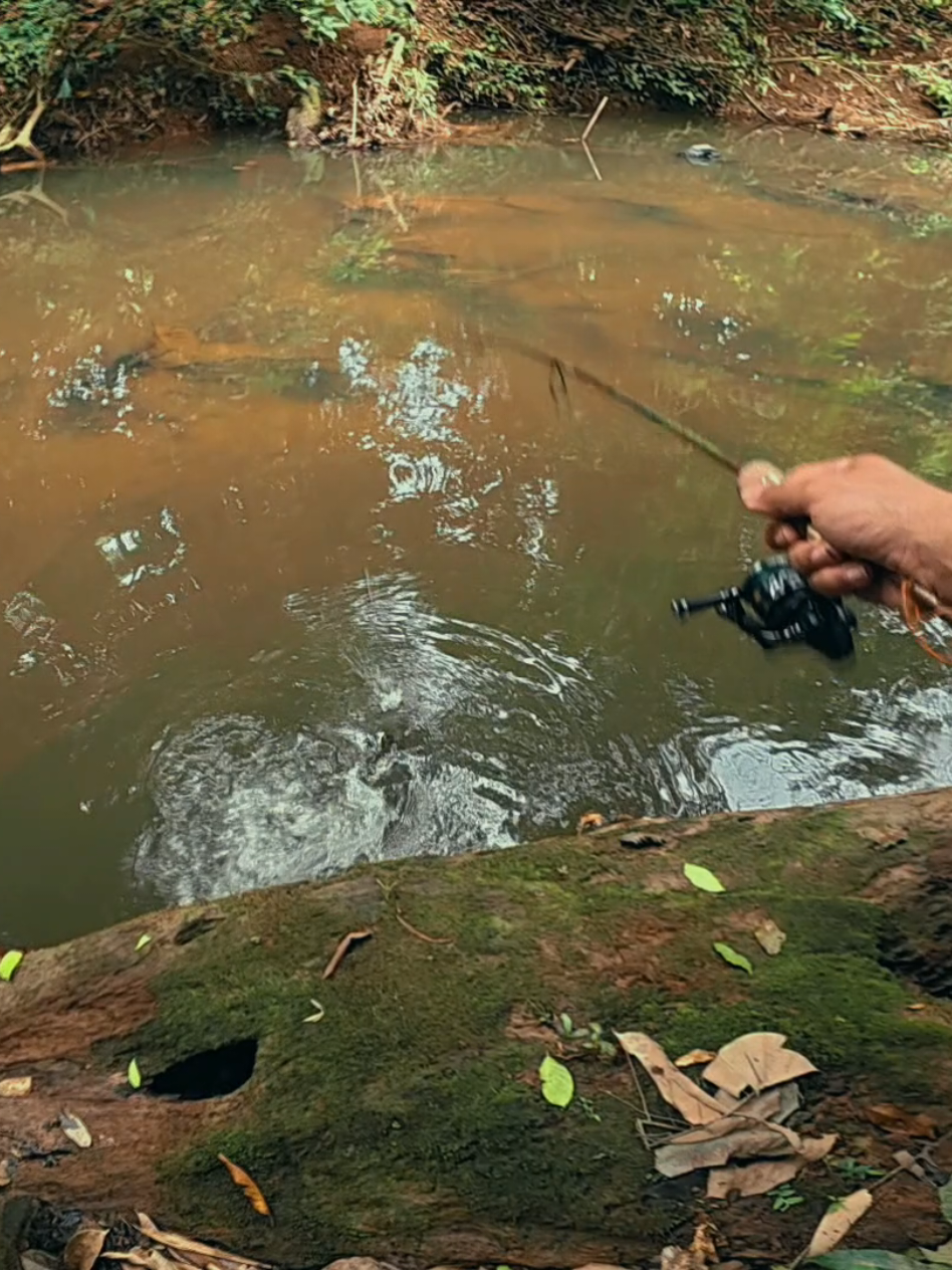 @Damz Strike Fishing