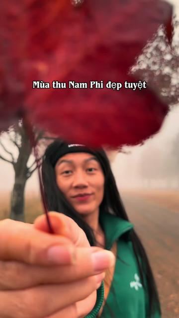 @🇻🇳 Maia ở Nam Phi 🇿🇦