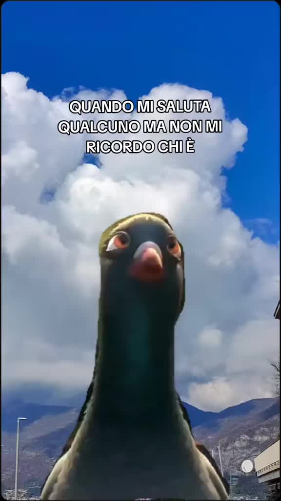 @ilmanu75