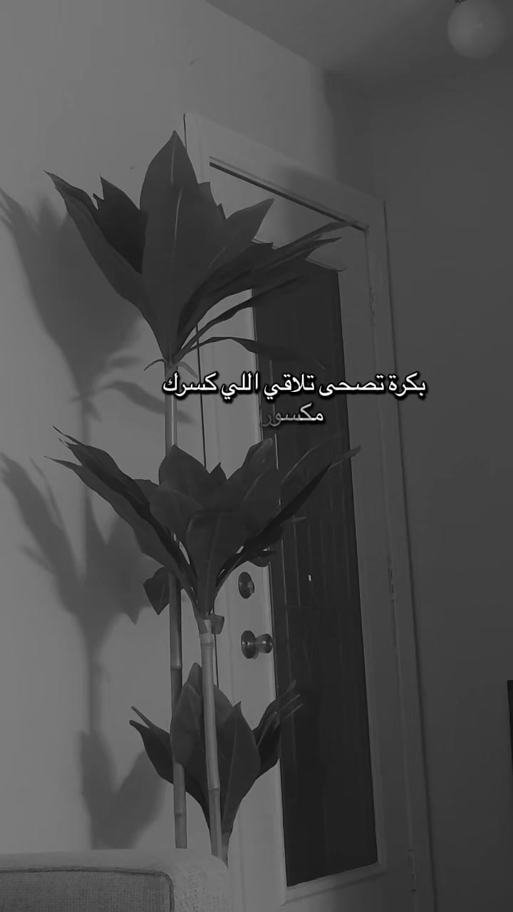 @Banoo✨🪻