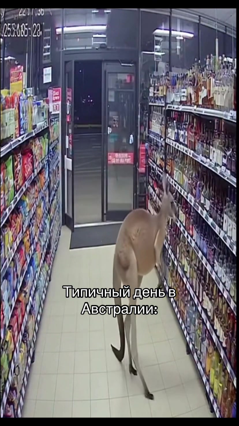 @Амбер