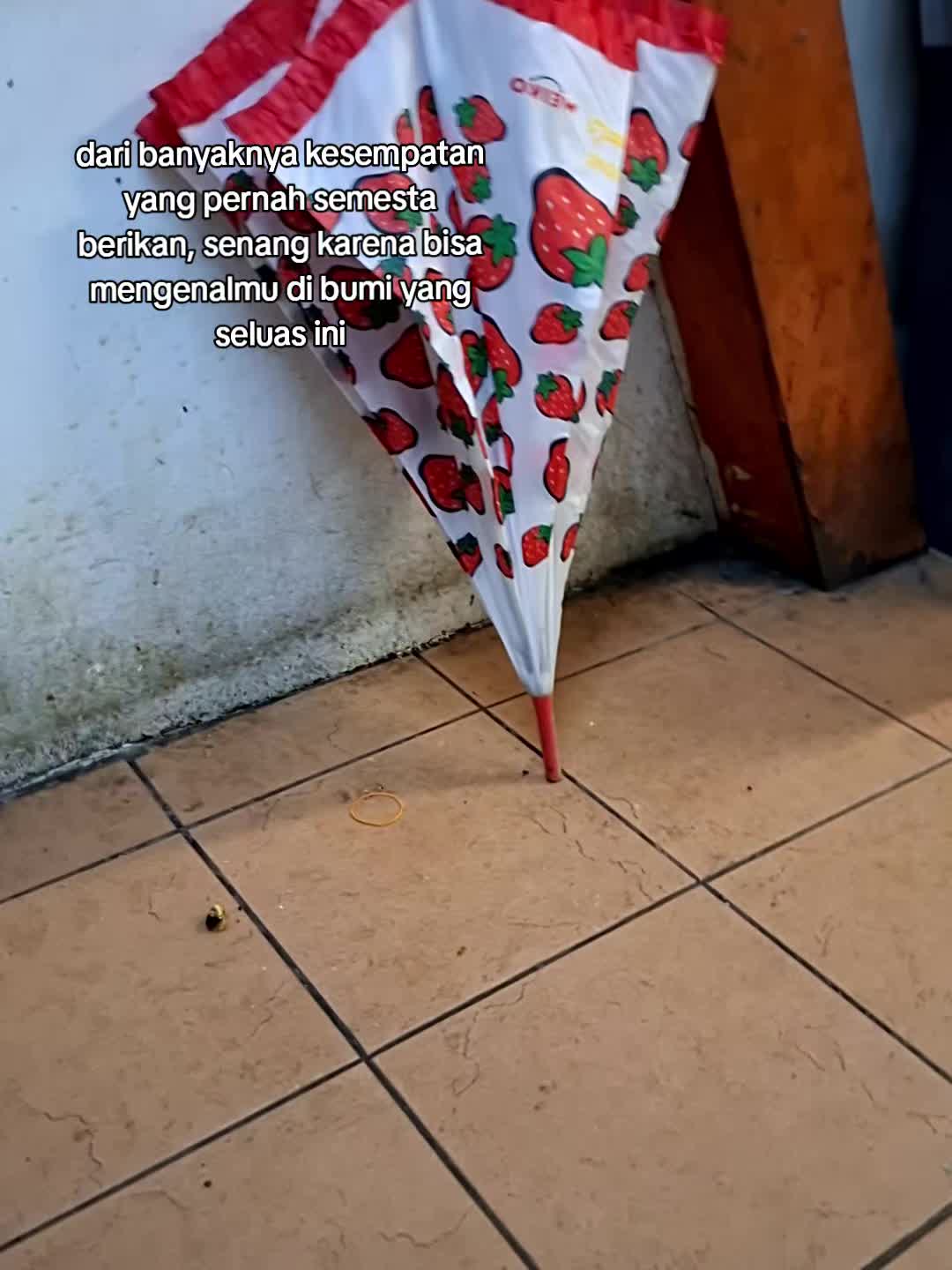 @ᴍ.ᴊᴀʏꜱᴛᴇʀ