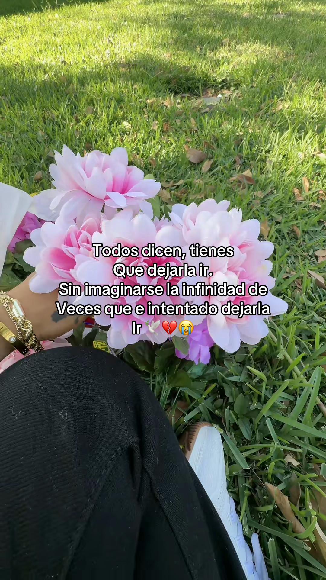 @evelynortiz03