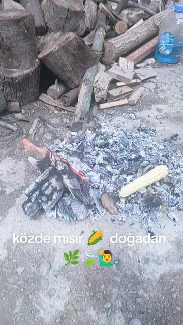 @Rıza &Ccedil;akmaklı🇹🇷