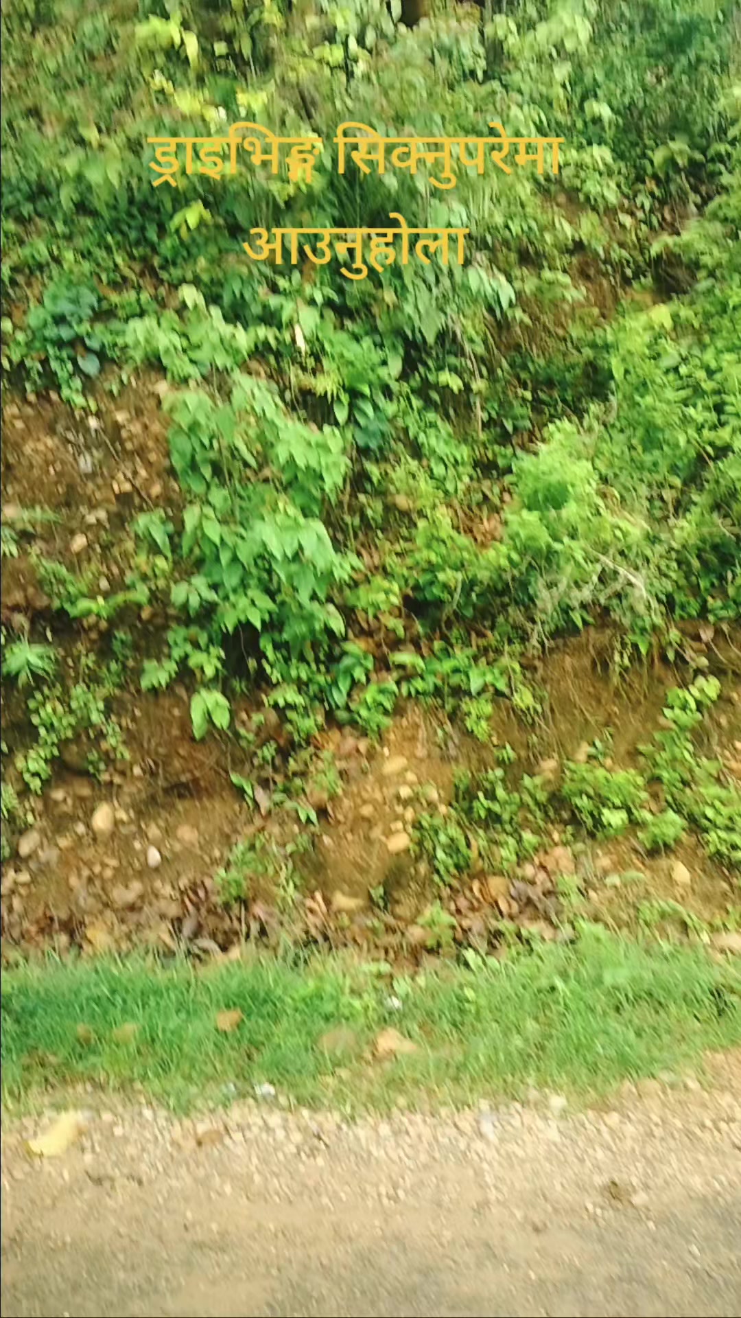 @सम्बृद्दी ड्राइभिङ्ग सेन्टर