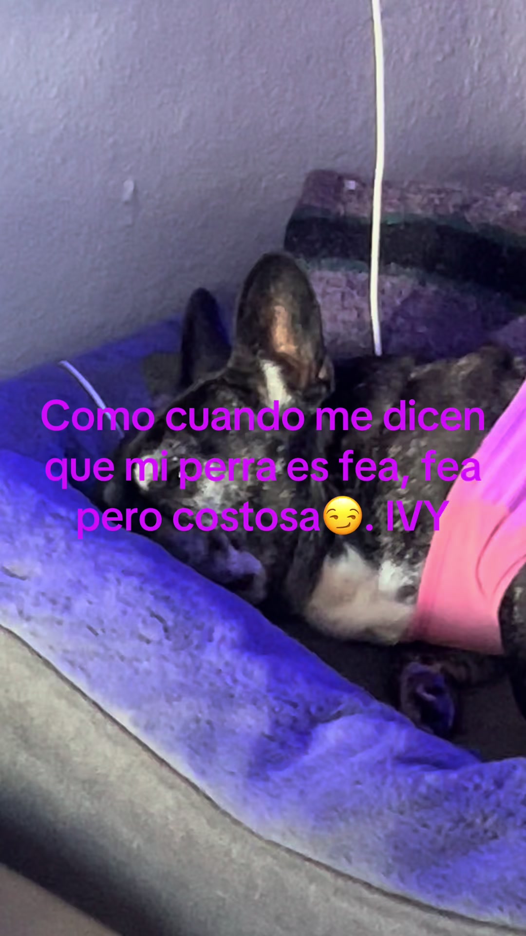 @Lucy 1111