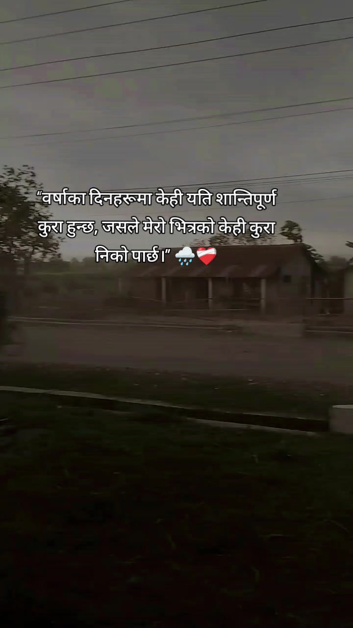 @puntu🐰