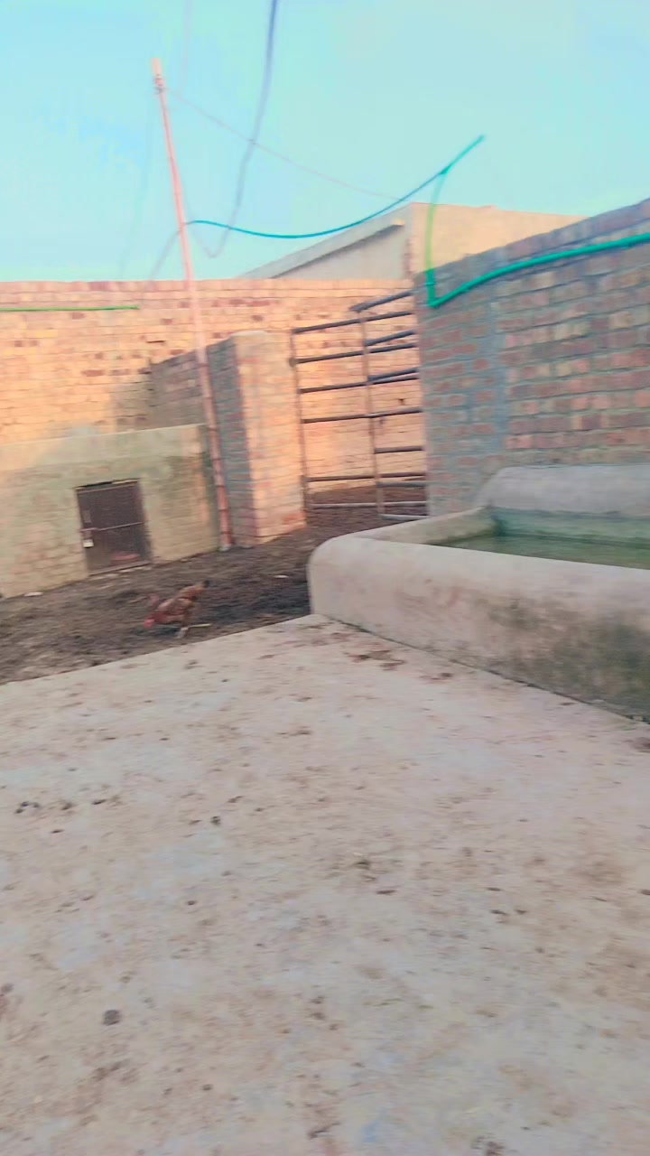 @Qasim07