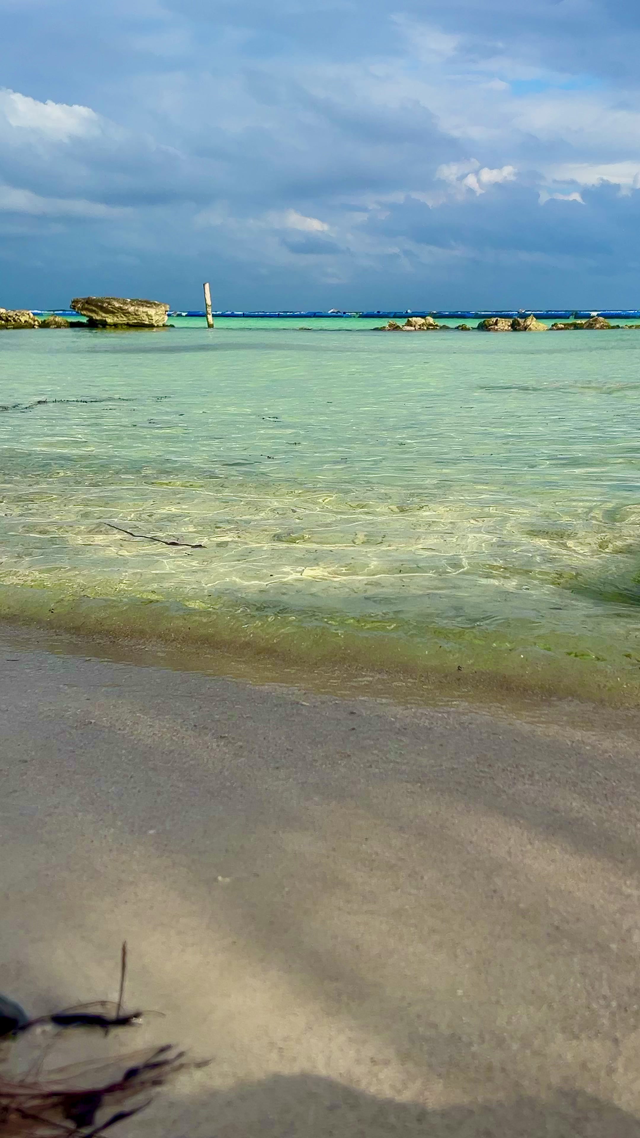 @Jesús Alberto 🇲🇽