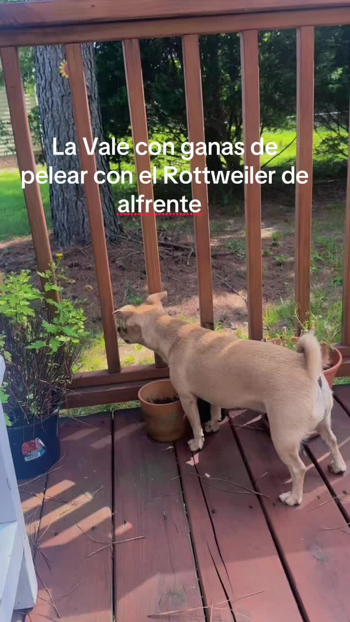 @kraftbymayris