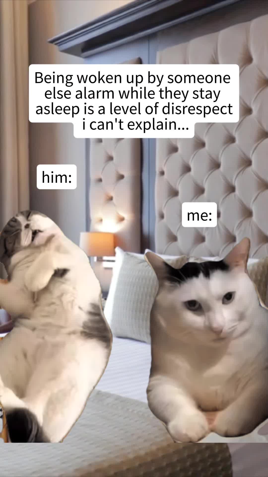 @LightInWords369๐๏ธ