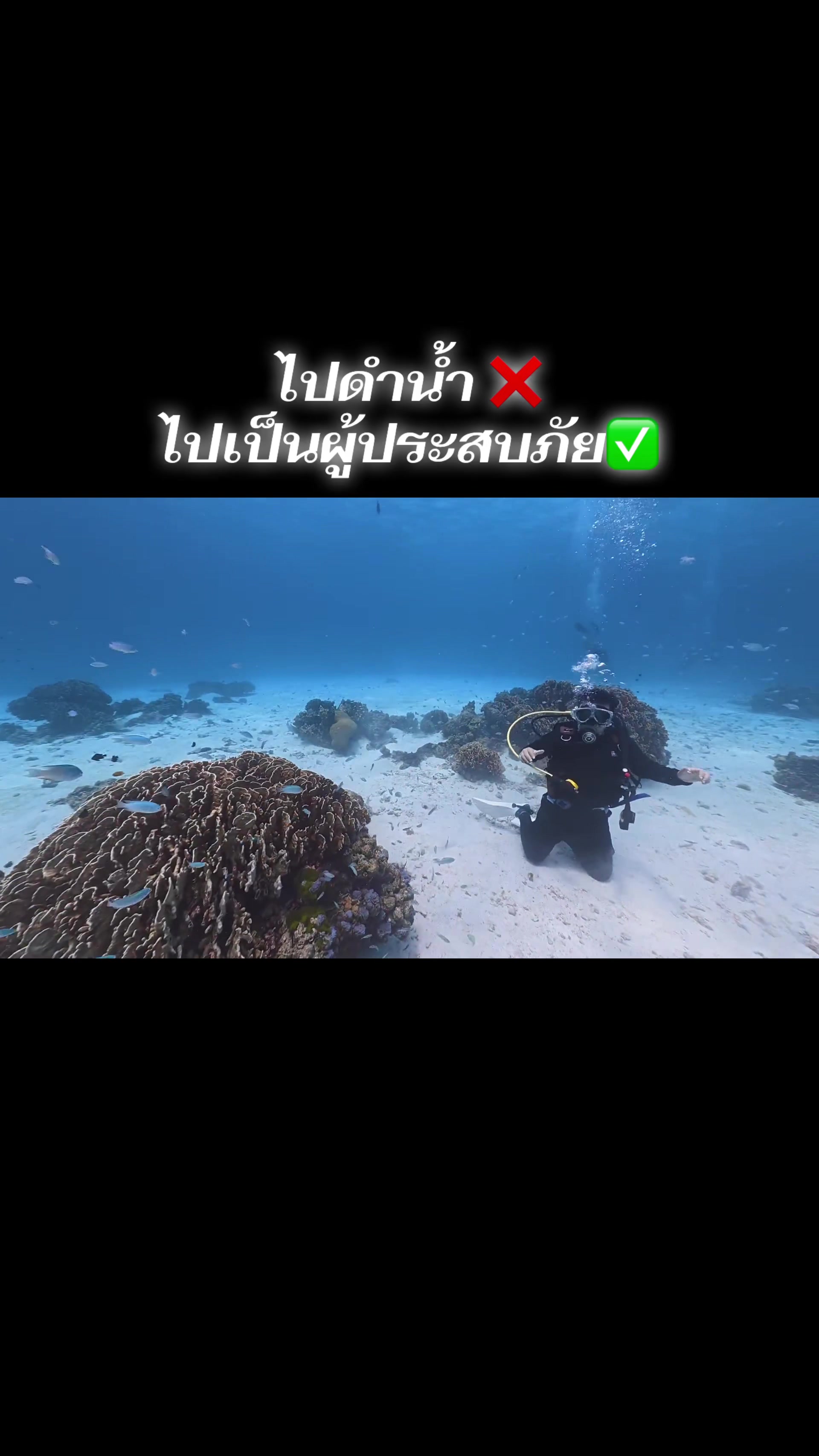 @arpo ที่ไม่ใช่ แพนด้า