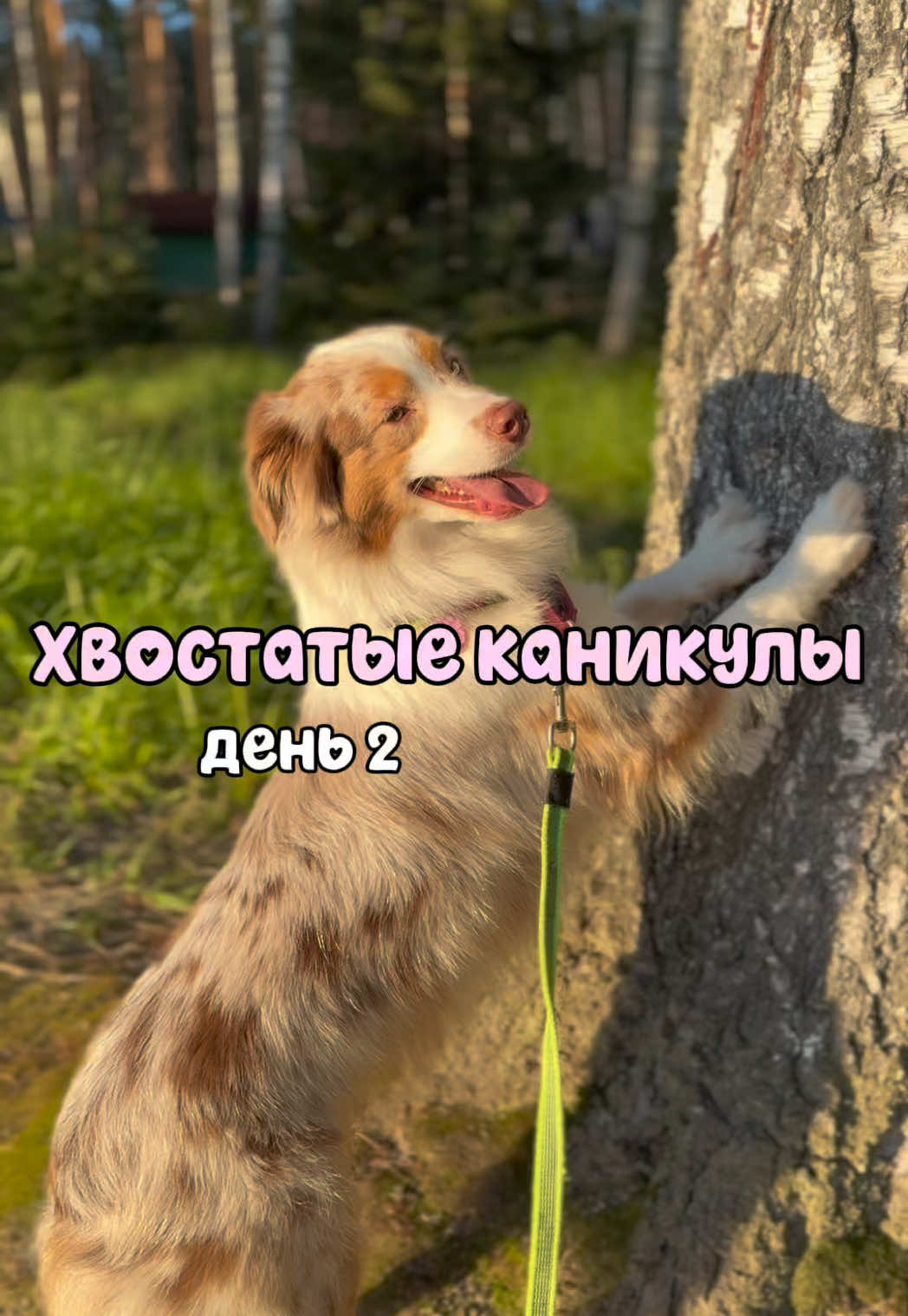 @𝚃𝚠𝚒𝚡
