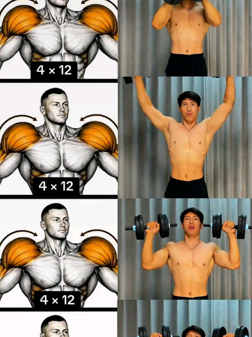 @𝑮𝒚𝒎.𝑭𝒊𝒕𝒏𝒆𝒔𝒔